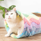 Cat in a colorful rainbow tunnel bed on wooden floor, with green plant in background. Cozy pet accessory, playful feline, indoor cat furniture.