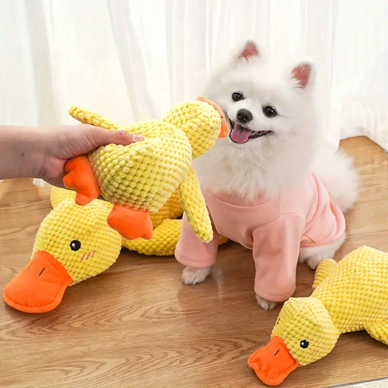 Fluffy white Pomeranian in pink sweater playing with yellow plush duck toys on wooden floor, pet accessories, cute dog toys, playful puppy.