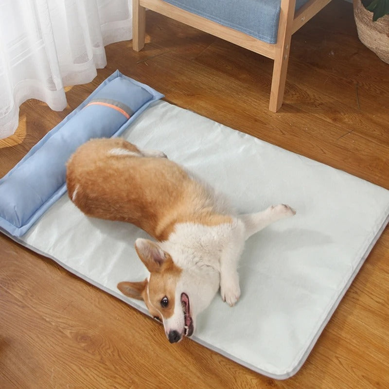 Corgi dog lying on a cooling mat in a cozy room, wooden floor, blue pillow. Pet comfort, summer heat relief, dog cooling pad.