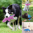 Dogs playing with colorful plush dinosaur toys in various outdoor and indoor settings. Perfect for pet playtime, durable dog chew toys.