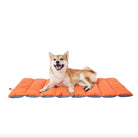 Orange foldable waterproof outdoor dog mat with a dog lying on it.