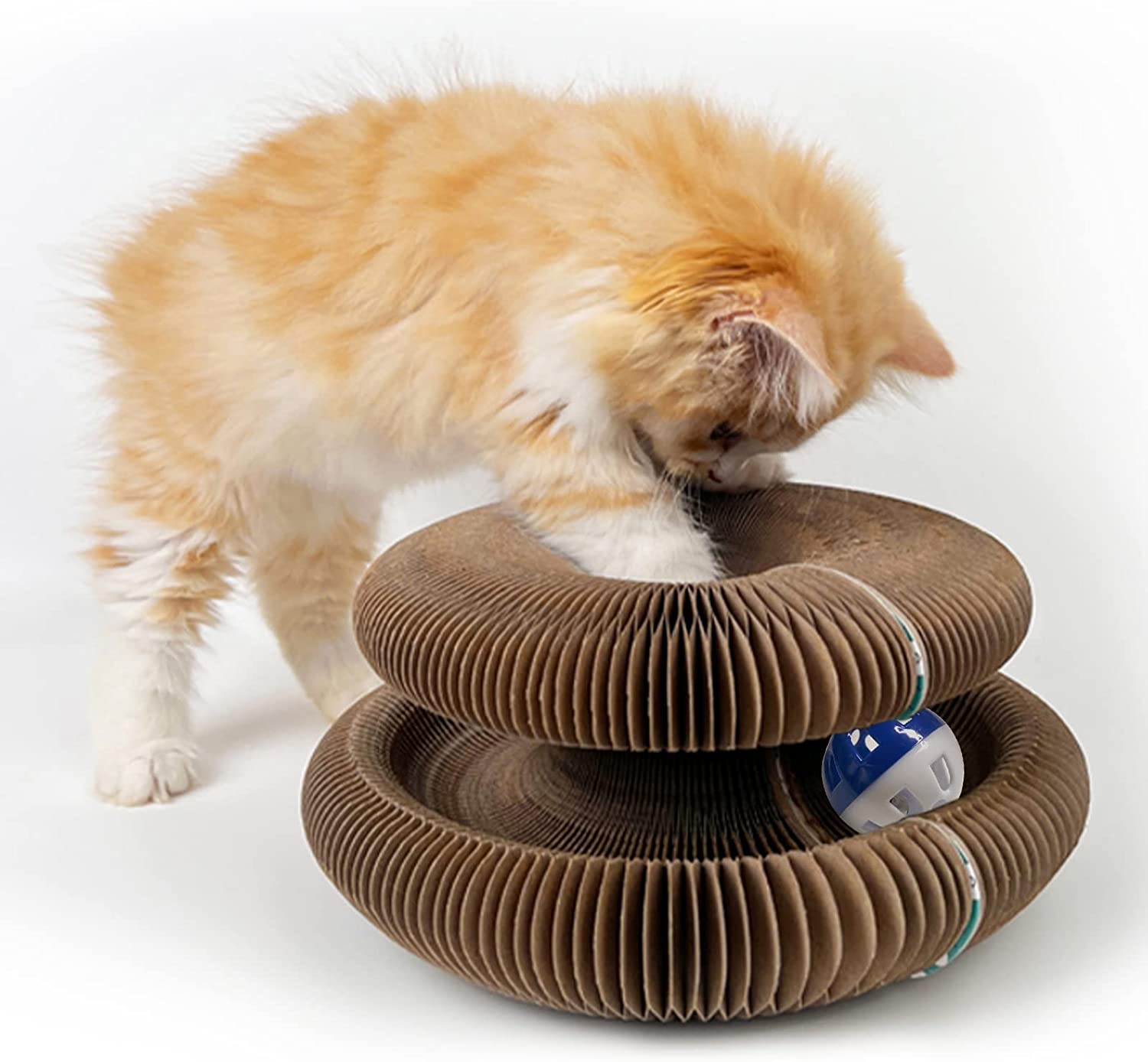 Fluffy orange kitten playing with interactive cardboard cat toy featuring a blue ball. Perfect for pet entertainment and exercise.