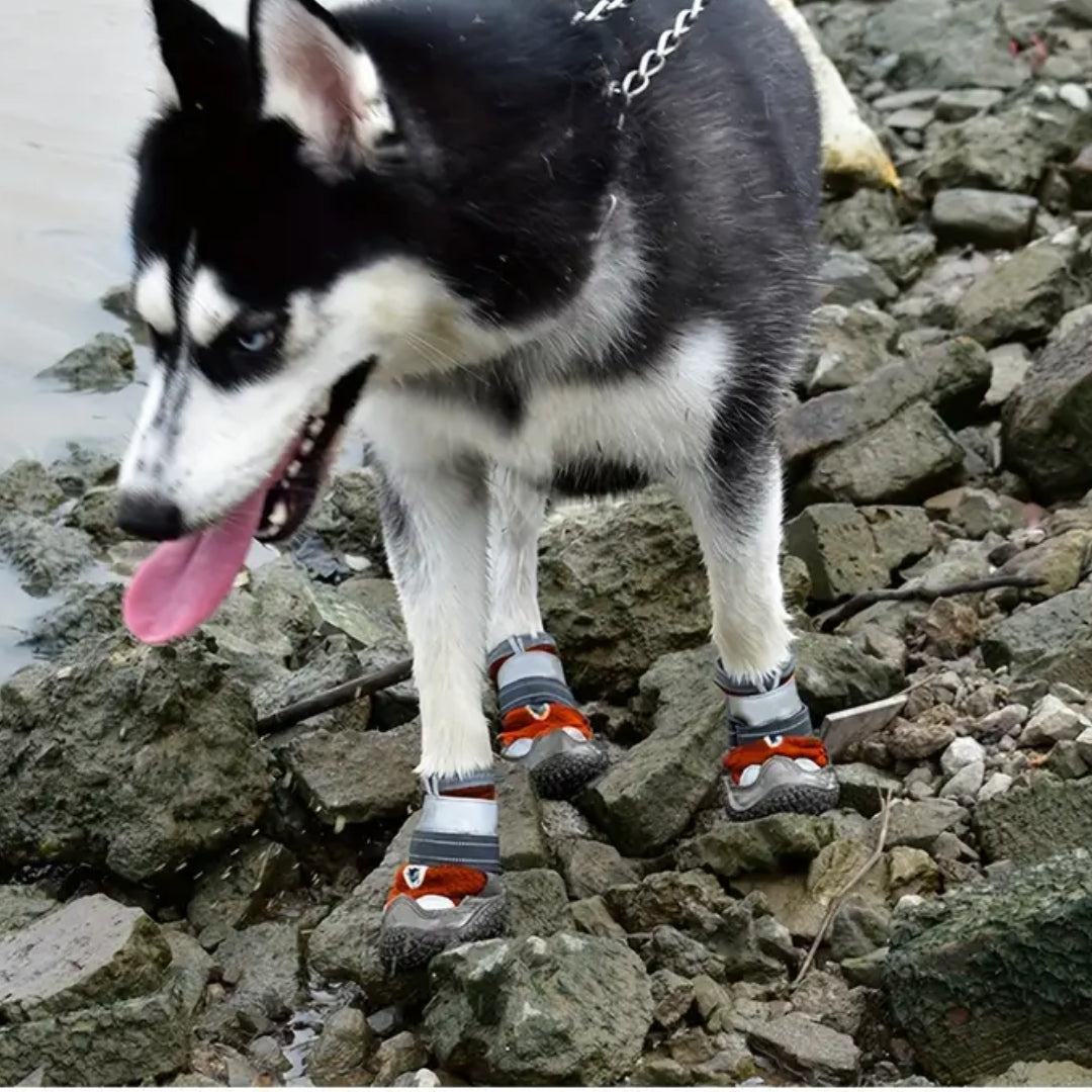 Siberian Husky wearing protective dog boots on rocky terrain by a lake, tongue out. Pet footwear, outdoor adventure, dog safety gear.