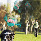 Dog chasing a colorful interactive ball toy in a park, with a person in the background. Perfect for pet playtime, exercise, and outdoor fun.