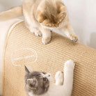 Two cats playing on a scratch-resistant sofa cover, showcasing durable pet-friendly furniture protection. Perfect for cat owners seeking stylish home solutions.