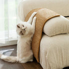 Fluffy white cat using a woven sisal scratch pad on a beige sofa, natural light, home decor, pet-friendly furniture protection, cozy living room.