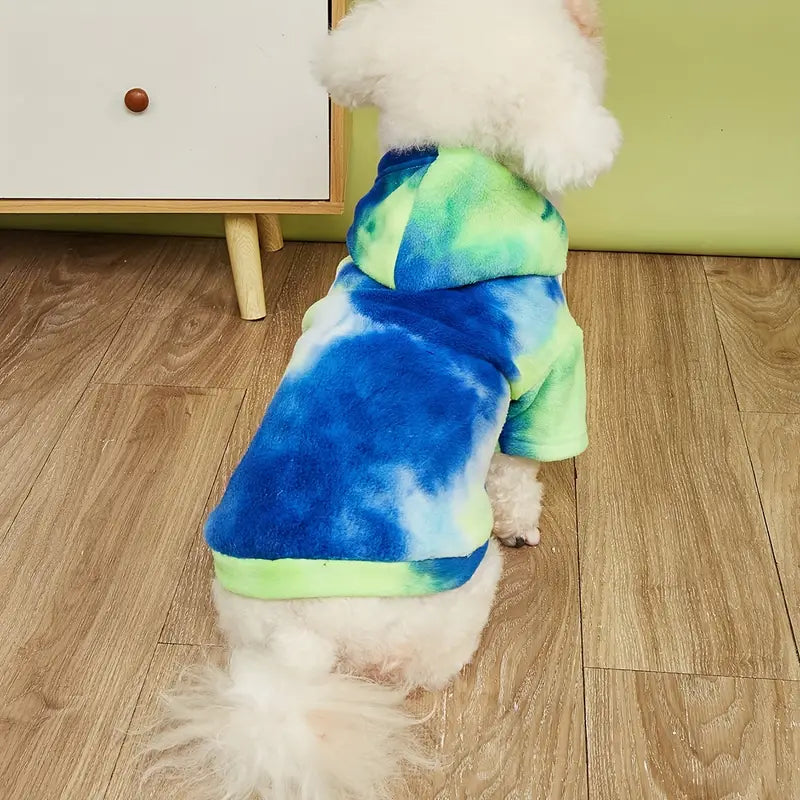 Small white dog wearing a blue and green tie-dye hoodie, sitting on wooden floor near a white cabinet. Cozy pet fashion, stylish dog clothing.