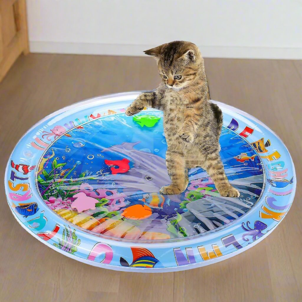 Kitten playing on colorful inflatable water mat with ocean-themed design, featuring fish and seaweed. Perfect for pet entertainment and sensory play.