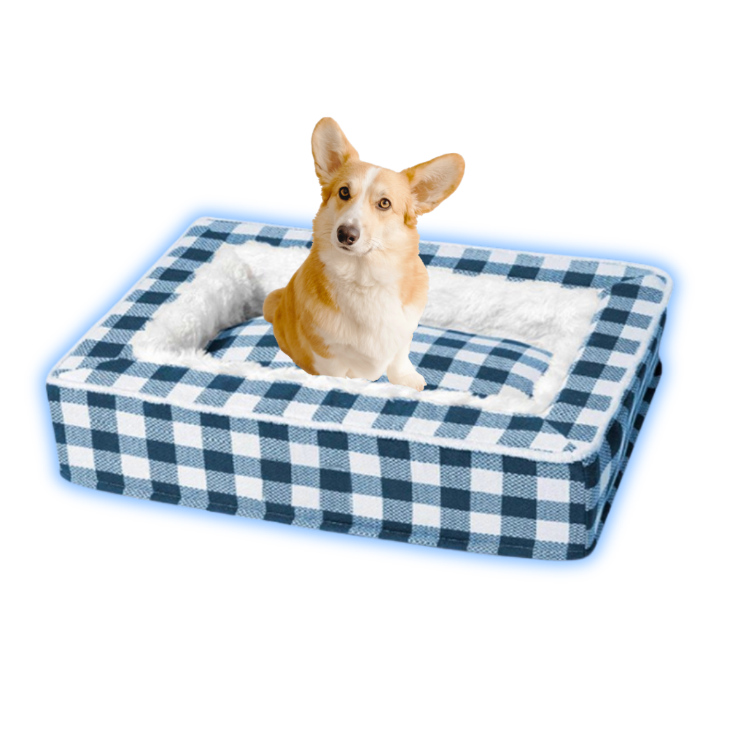 Corgi sitting in a blue plaid dog bed with soft white lining, perfect for pet comfort and style. Ideal pet accessory for small to medium dogs.