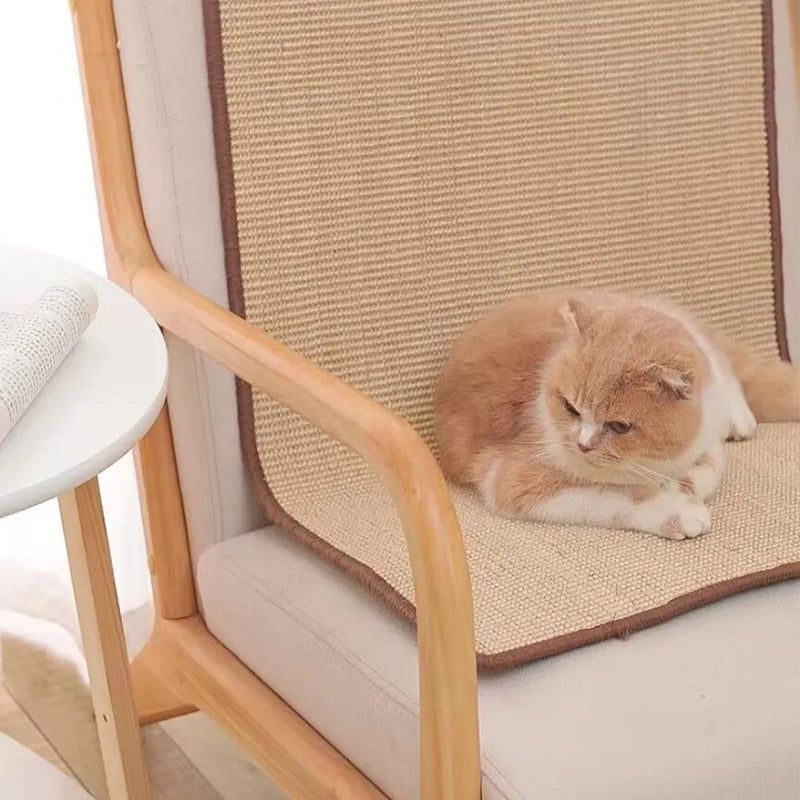 Cute cat lounging on a beige chair with a woven mat, next to a white round table. Cozy home decor, pet-friendly furniture, relaxing atmosphere.