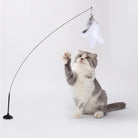 Playful gray and white cat reaching for feather toy on flexible wand; interactive pet toy for indoor cats, promotes exercise and mental stimulation.