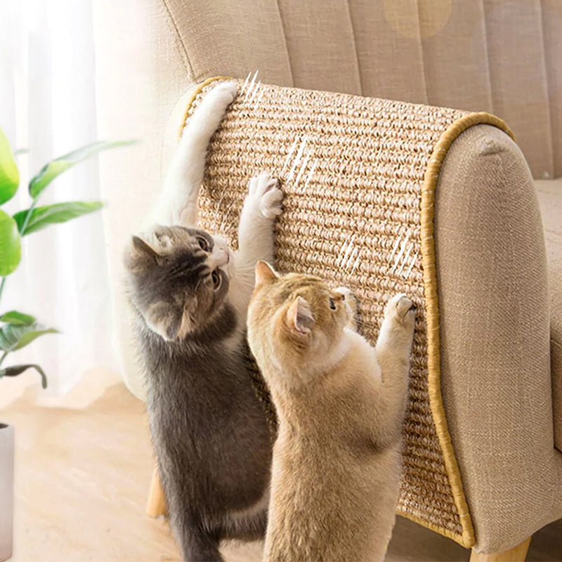 Two cats scratching a woven sisal cat scratcher attached to a beige sofa arm, with a green plant nearby, in a bright living room setting.