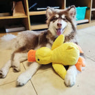 Fluffy brown and white dog with a yellow duck plush toy, lying on a tiled floor. Cute pet, playful dog toy, indoor setting.