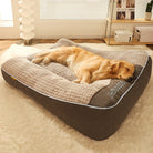 Golden Retriever sleeping on a large, plush orthopedic dog bed in a cozy living room. Comfortable pet bedding, luxury dog bed, home decor.