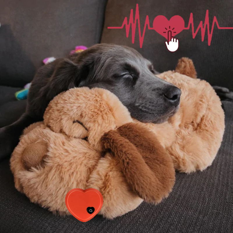 Sleeping puppy cuddling a plush toy on a couch, with heart graphics and heartbeat line. Cozy, adorable pet, relaxation, comfort, cute dog image.