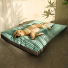 Golden Retriever sleeping on a large, plush teal dog bed in a sunlit room. Cozy pet bedding, comfortable dog mattress, relaxing canine rest area.