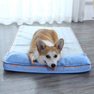 Corgi lying on a blue cooling dog bed, wooden floor, white curtains in background. Pet comfort, dog bed, cooling mat, home decor.