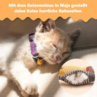 Sleeping kitten wearing a colorful collar, enjoying a catnip-filled toy. Perfect for pet relaxation, cat comfort, and playful rest moments.