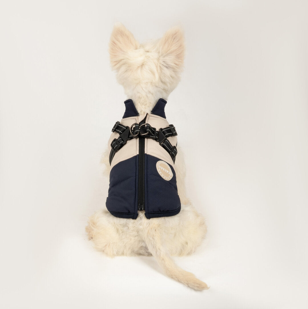 Small white dog wearing a stylish navy and beige harness, sitting with back facing camera. Pet fashion, dog harness, cute pet apparel.