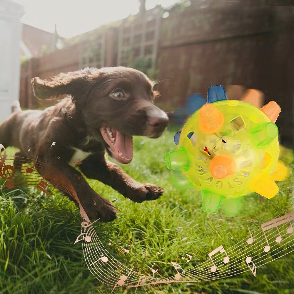 Excited puppy playing with a colorful interactive musical ball in a sunny backyard. Dog toy, pet playtime, outdoor fun, energetic pet.