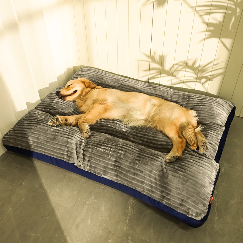 Golden Retriever sleeping on a large, plush gray dog bed in sunlight. Cozy pet bedding, comfortable dog mattress, luxury pet furniture.