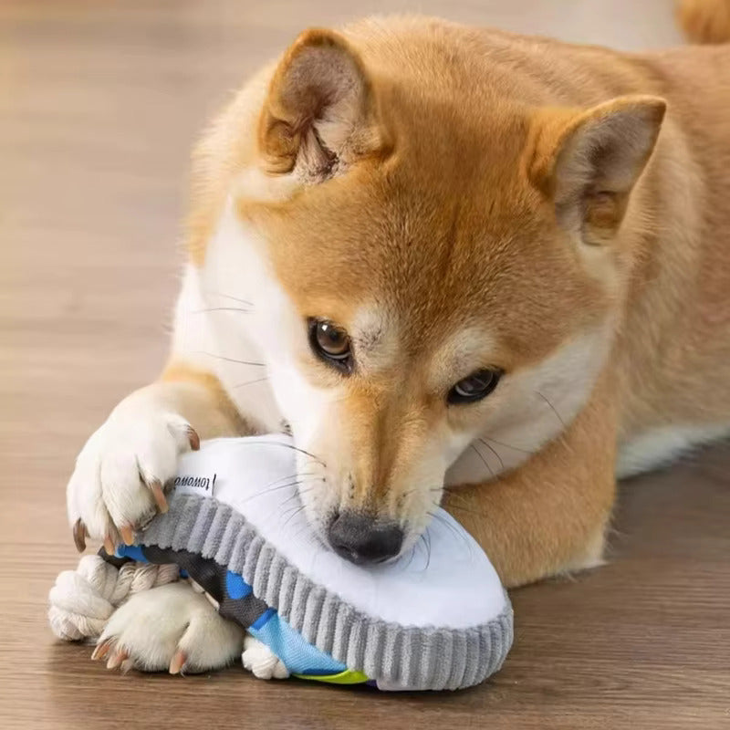 Shiba Inu dog chewing on a colorful plush toy on a wooden floor. Cute pet playing indoors. Dog toy, Shiba Inu, playful dog, indoor pet activity.