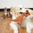 Dog playing with orange dinosaur plush toy on wooden floor, surrounded by other dinosaur toys. Perfect pet gift, durable chew toy for dogs.