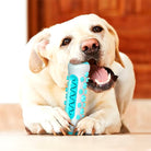 Labrador retriever chewing on a blue spiked dog toy, promoting dental health and interactive play. Ideal for pet owners seeking durable chew toys.