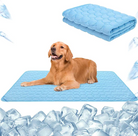 Golden Retriever on blue cooling mat with ice cubes, showcasing pet cooling blanket. Ideal for hot weather, pet comfort, and temperature regulation.