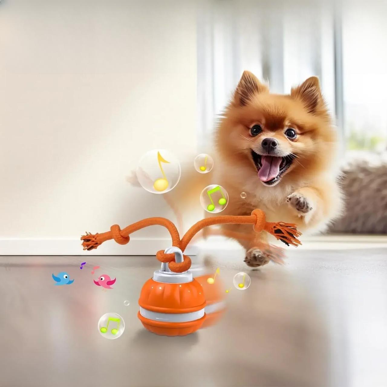 Pomeranian dog joyfully playing with an interactive orange dog toy featuring musical notes and colorful bubbles, perfect for pet entertainment and exercise.