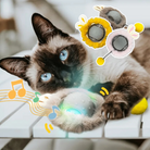 Siamese cat playing with interactive toy ball on white table; features music notes and colorful plush covers. Perfect pet entertainment accessory.