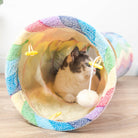 Cat playing inside a colorful rainbow tunnel toy with pom-pom, on wooden floor. Perfect pet accessory for indoor play and exercise.