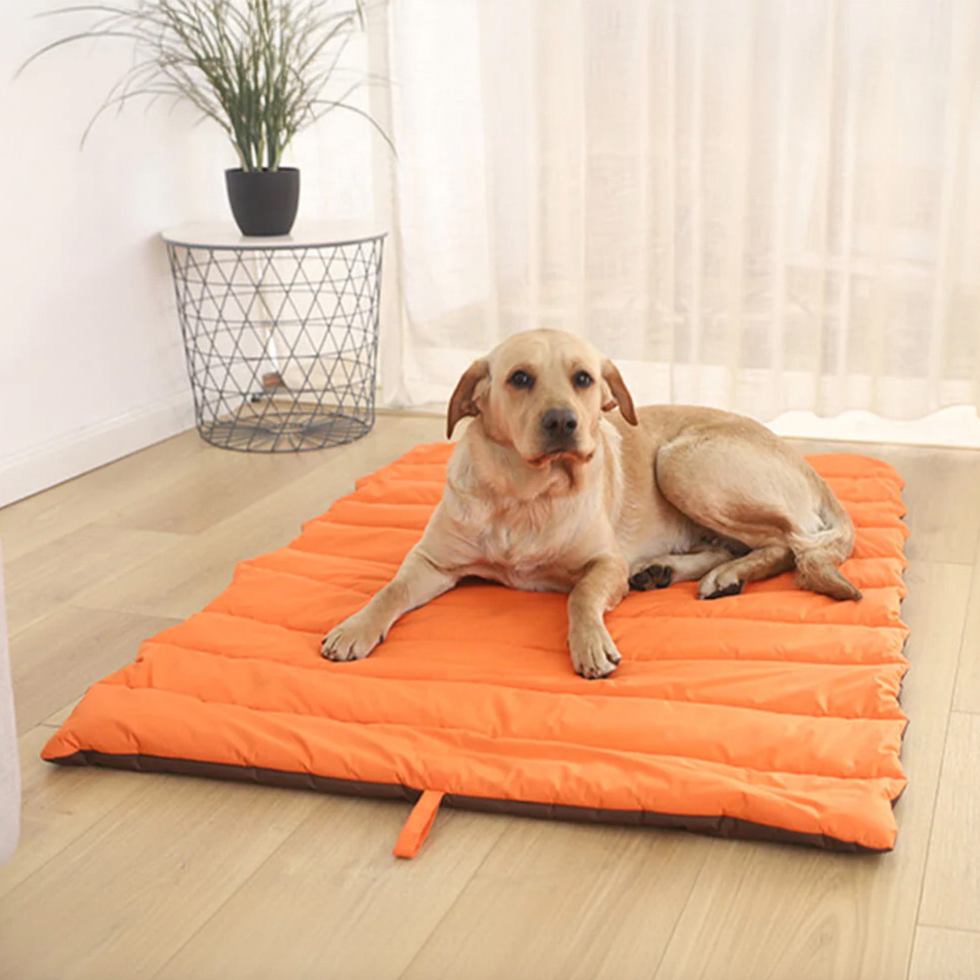 Orange waterproof foldable dog mat for outdoor travel, durable pet bedding on wooden floor.