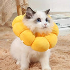 Fluffy white kitten wearing a yellow plush flower collar, sitting on a soft beige rug. Cute pet accessory, adorable cat fashion, home decor.