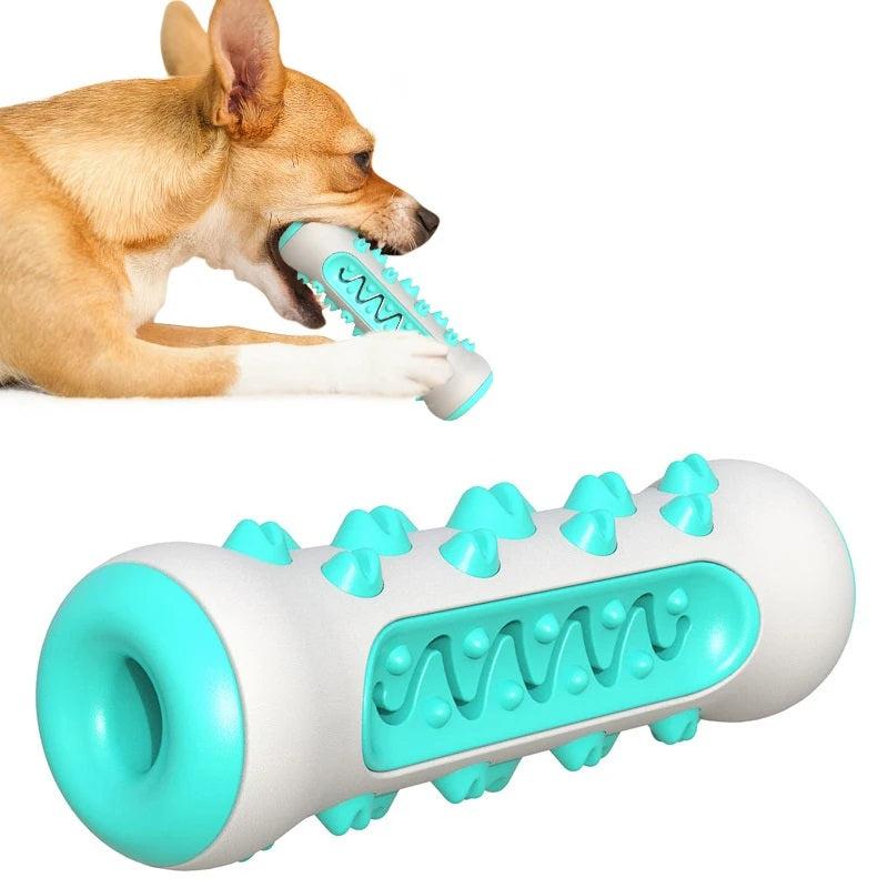 Chew toy for dogs, featuring a turquoise and white design with textured nubs for dental health, held by a small dog. Durable pet toy.