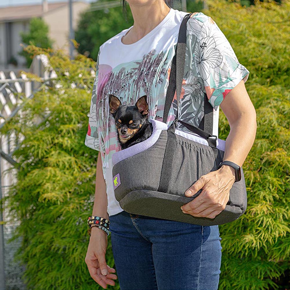 Person carrying a small black Chihuahua in a gray pet carrier bag outdoors. Dog carrier, pet travel accessories, small dog bag.