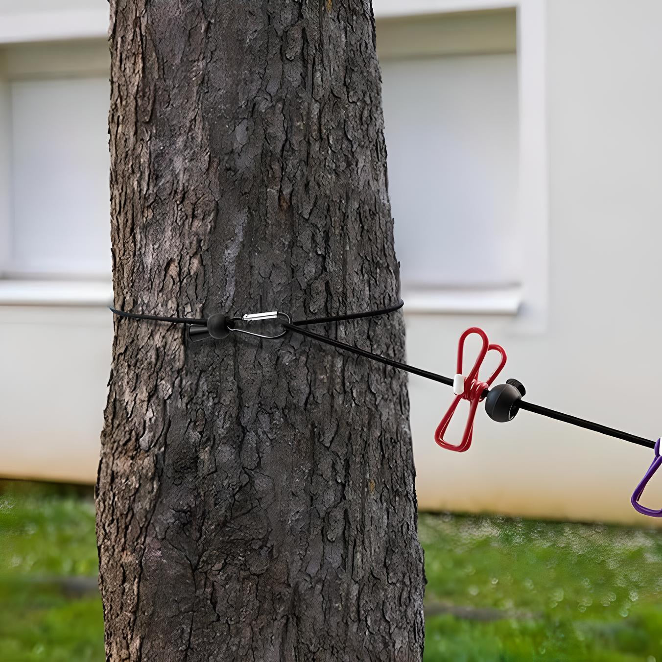 Tree trunk with a black bungee cord and red hooks, secured for outdoor use. Ideal for camping, gardening, or securing items. Durable and versatile.