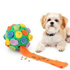 Small dog with a colorful interactive snuffle ball toy, featuring rolled fabric and hidden treats, promoting mental stimulation and playtime fun.