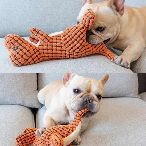 French Bulldog playing with an orange plush dinosaur toy on a gray sofa. Cute dog toy, pet playtime, durable chew toy for small dogs.