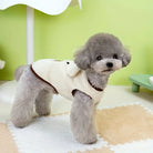 Cute gray poodle wearing a cozy, cream-colored dog sweater with bear design, standing on a soft rug in a pastel green room. Perfect pet fashion.