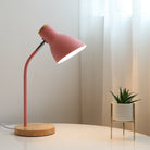 Pink desk lamp with wooden base illuminating a small potted succulent on a table, near sheer white curtains. Modern home office decor.