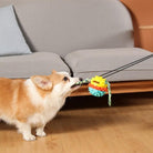 Corgi playing tug-of-war with colorful chew toy in living room; dog toy, pet playtime, indoor activity, playful corgi, home decor.