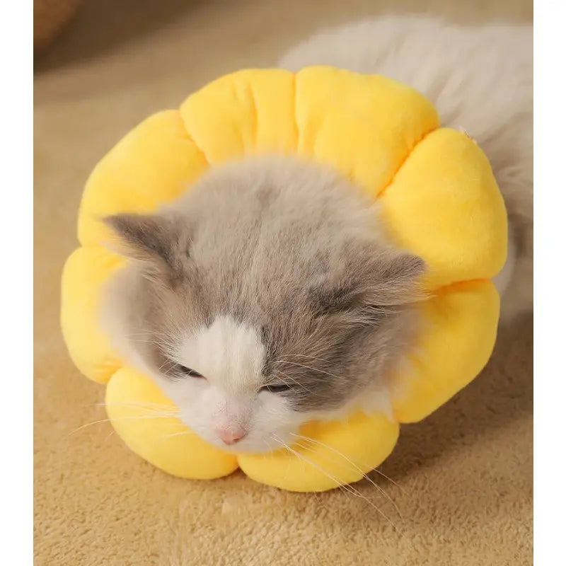 Fluffy cat wearing a yellow flower-shaped pet collar, lying on a beige surface. Cute pet accessory, cozy cat fashion, adorable feline photo.