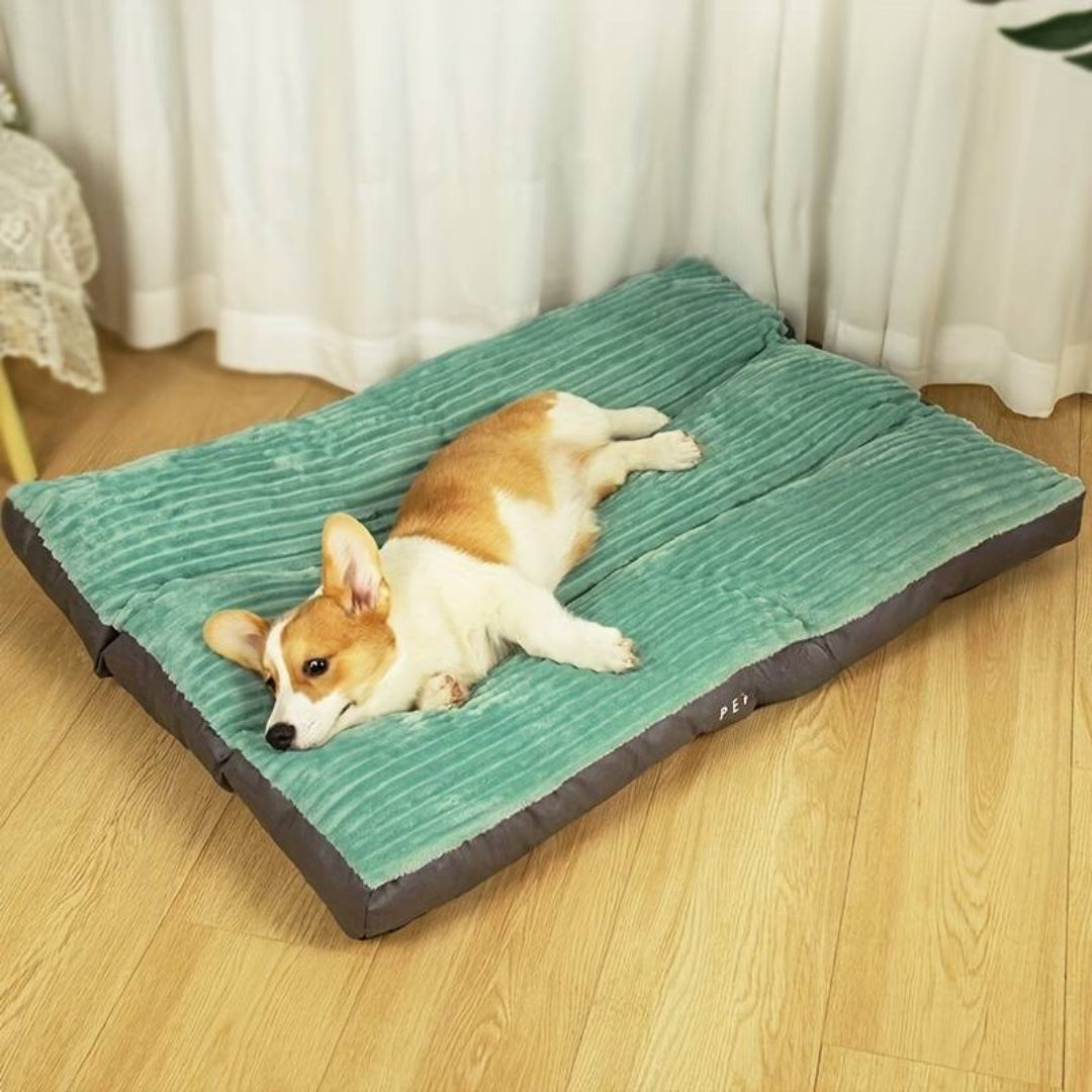 Corgi lying on a plush green dog bed in a cozy room with wooden flooring, showcasing comfortable pet bedding, ideal for small to medium-sized dogs.