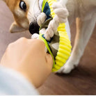 Dog playing tug-of-war with a colorful rope toy, showcasing playful interaction and pet engagement. Perfect for pet lovers and dog toy enthusiasts.