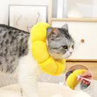 Cat wearing a yellow flower-shaped recovery collar, designed for post-surgery comfort. Ideal pet accessory for healing, preventing licking and scratching.