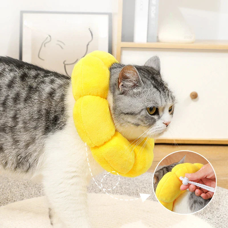 Cat wearing a yellow flower-shaped recovery collar, designed for post-surgery comfort. Ideal pet accessory for healing, preventing licking and scratching.