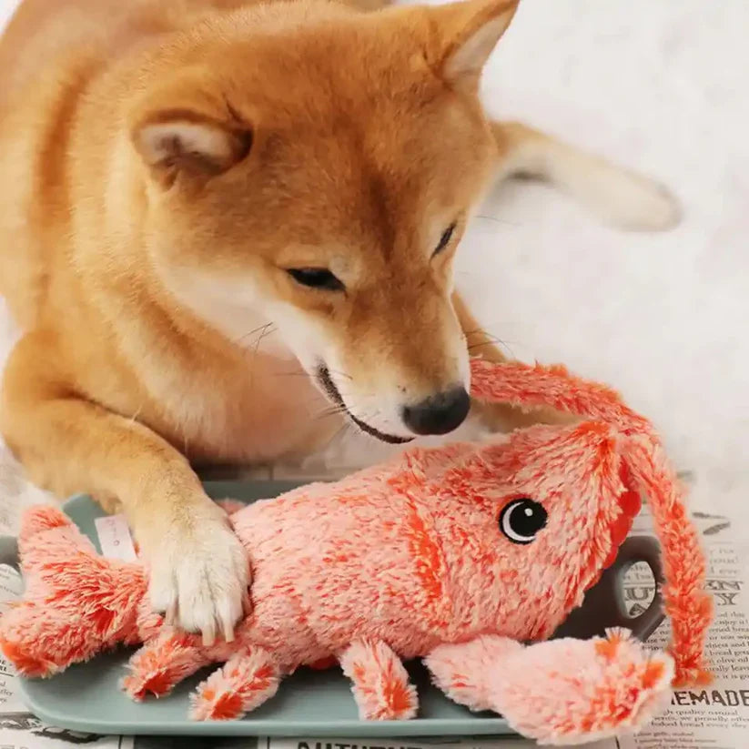 Shiba Inu dog playing with a plush lobster toy on a newspaper. Cute pet, dog toy, Shiba Inu, playful dog, plush lobster, pet accessories.