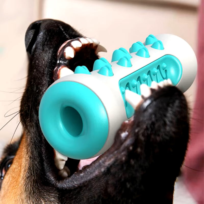 Dog chewing on a blue and white rubber dental toy with textured spikes, promoting oral health and teeth cleaning. Durable pet chew toy for dogs.