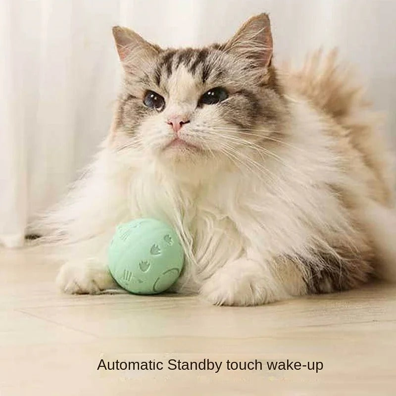 Fluffy cat with a playful expression lying next to a green interactive toy ball on a wooden floor, promoting automatic standby touch wake-up feature.